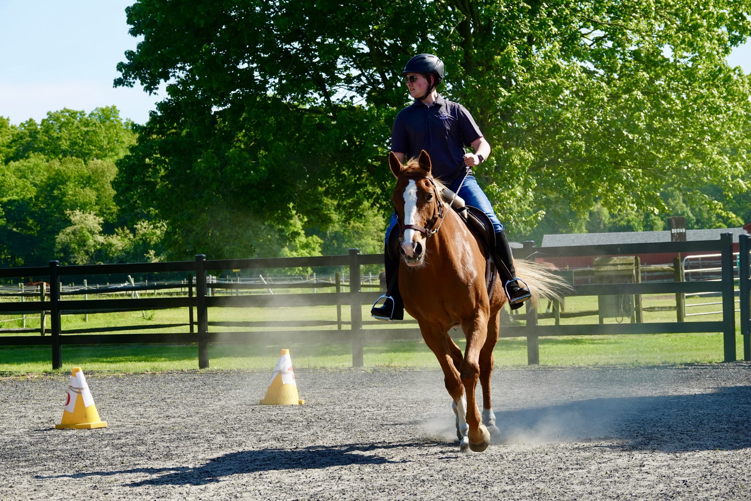 Andrew and Rolex: Bonds that Last a Lifetime